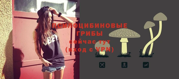 прущая мука Бородино