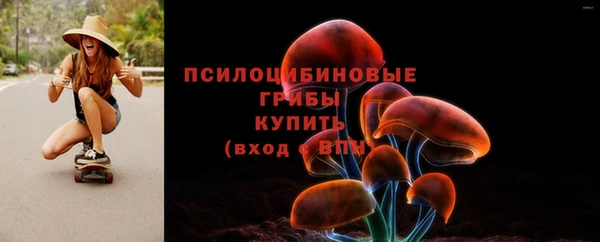 spice Бугульма