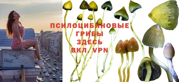 прущая мука Бородино