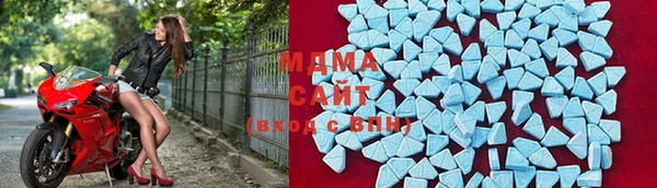 индика Богородск