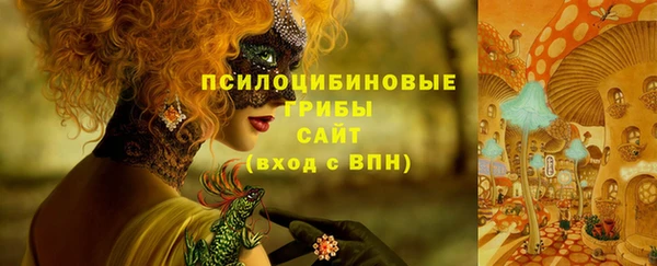 дмт Богородицк