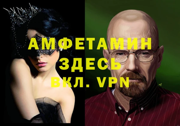 индика Богородск