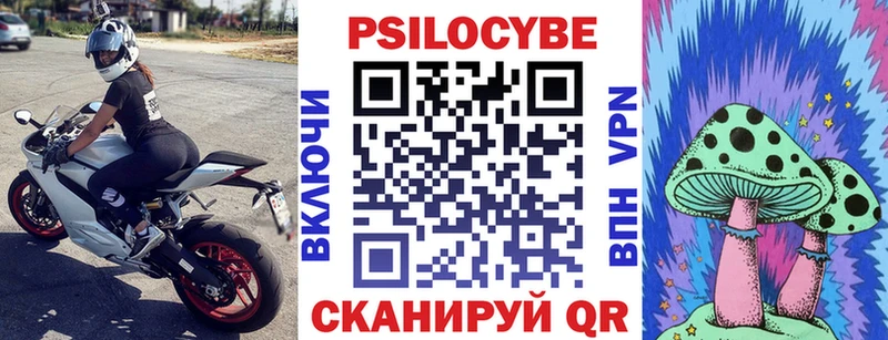 Псилоцибиновые грибы Psilocybine cubensis где найти наркотики Гудермес